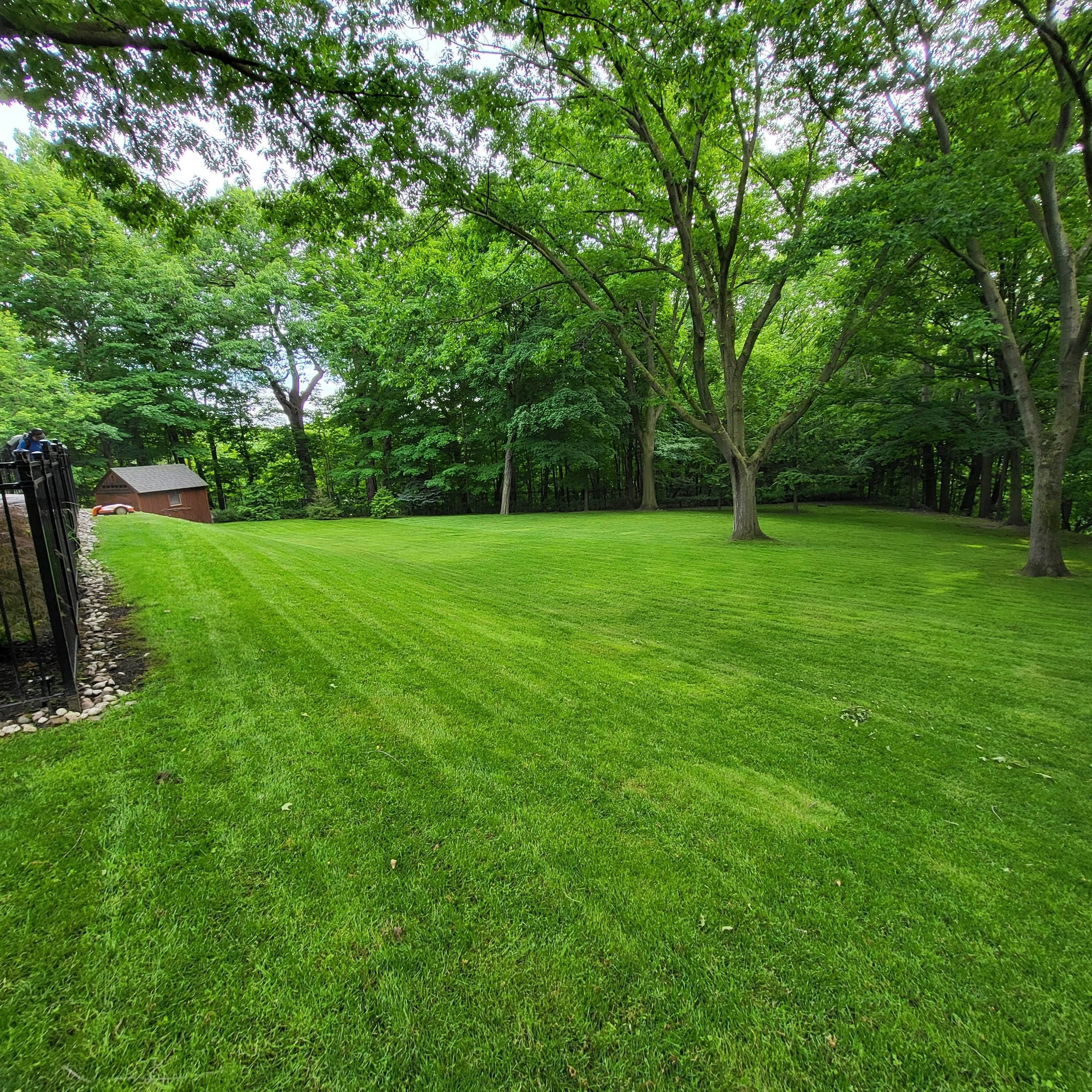 Landscaping Project 6