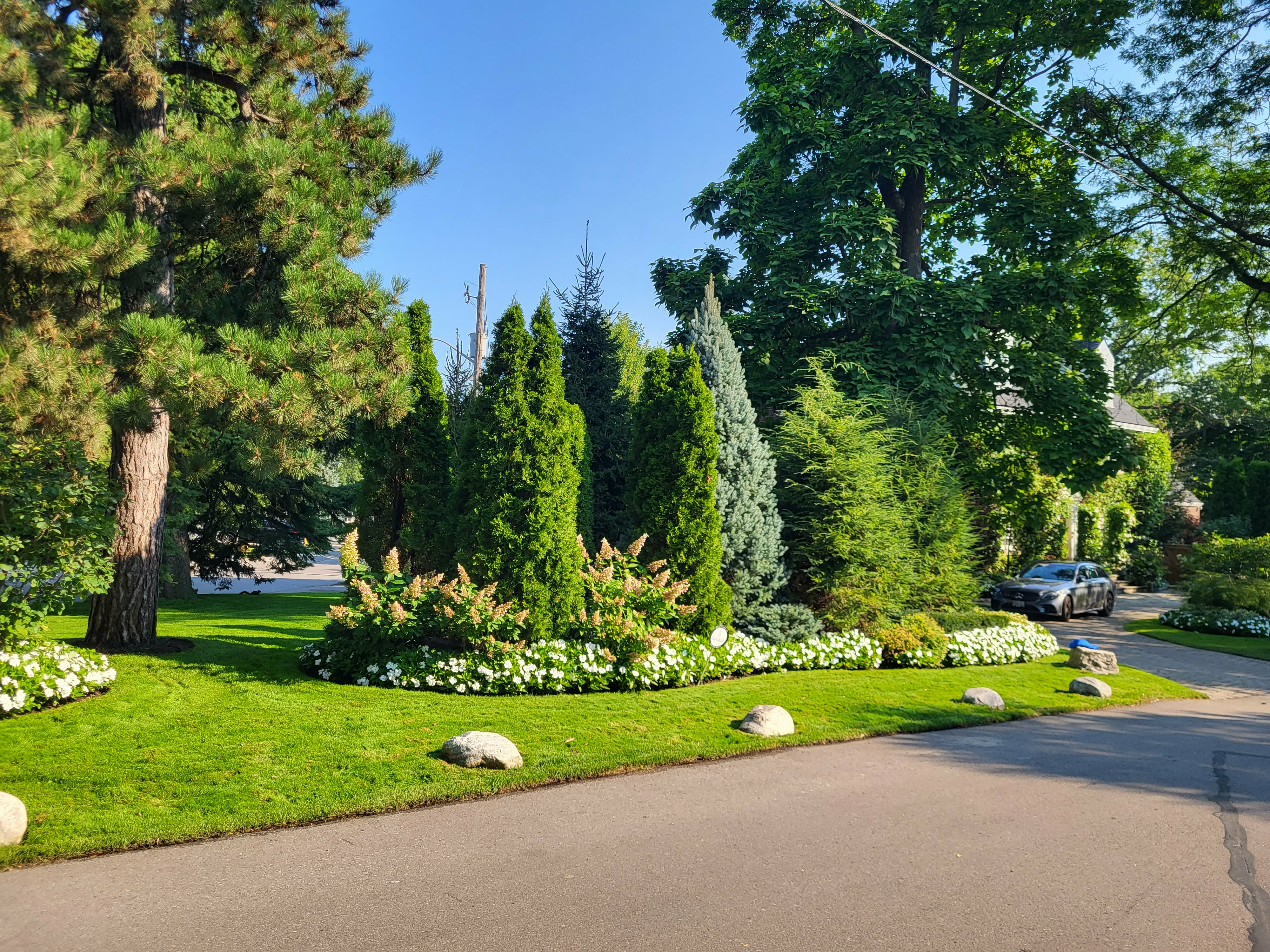 Landscaping Project 20