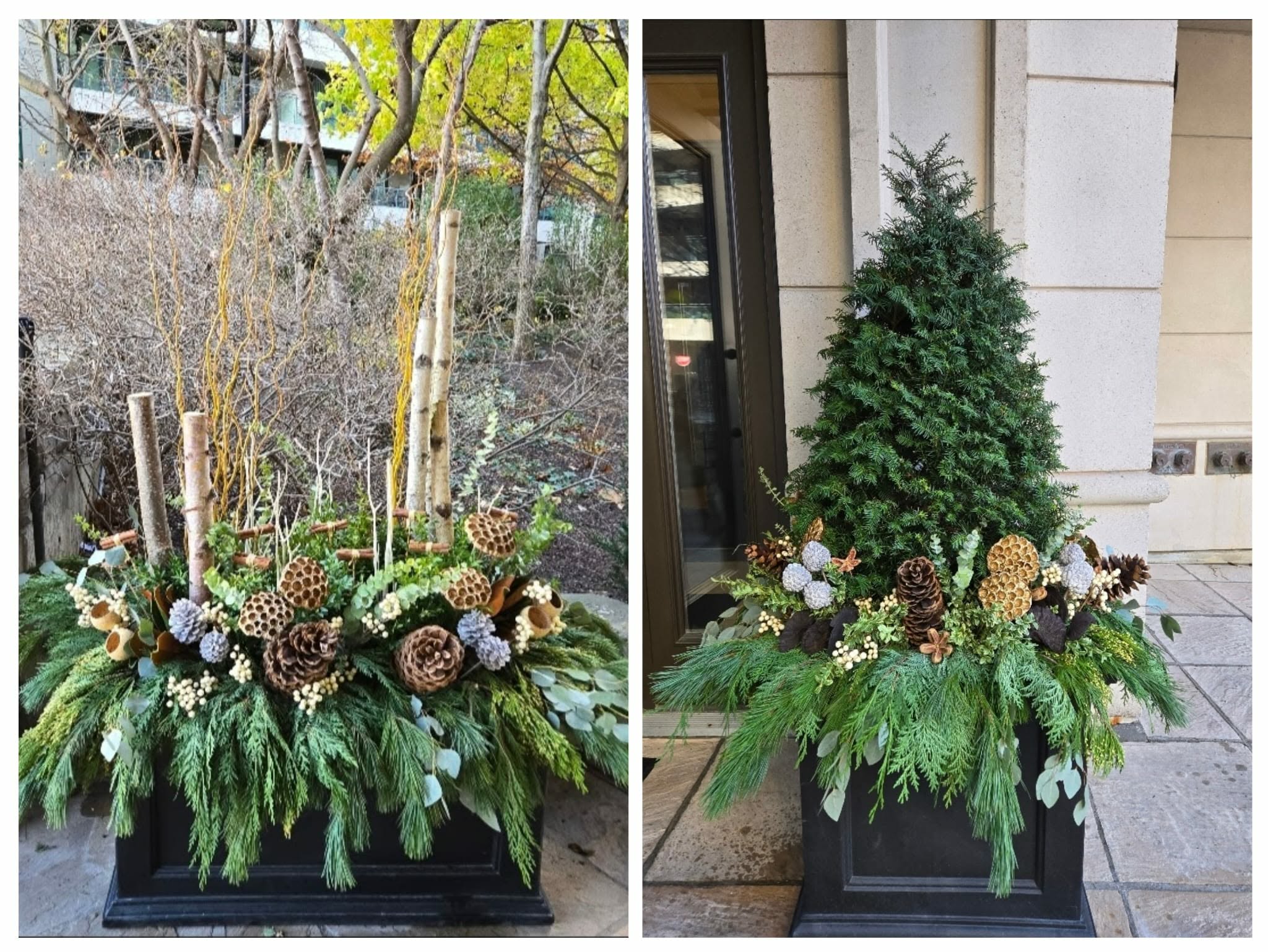 Landscaping Project 13