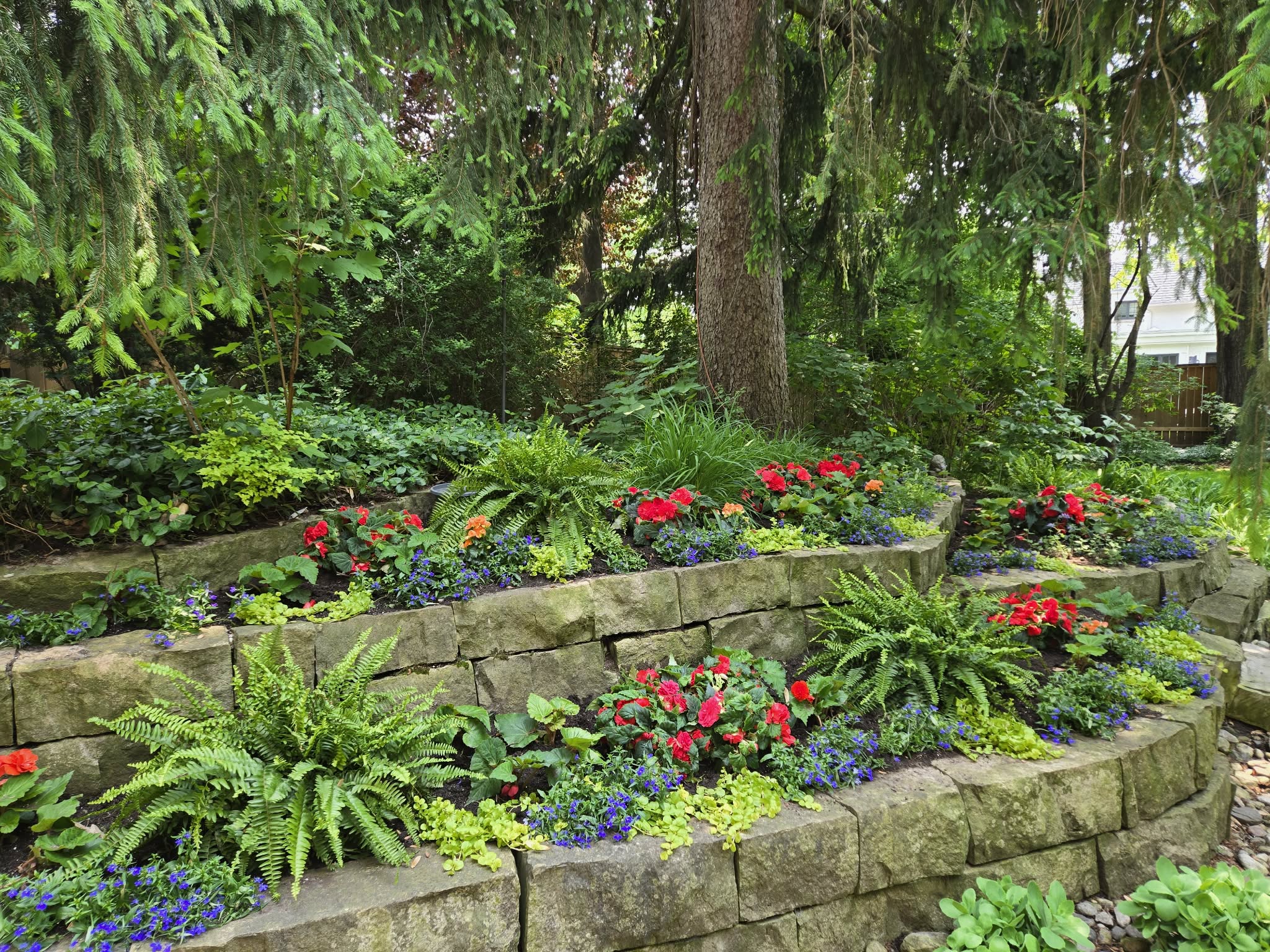 Landscaping Project 14