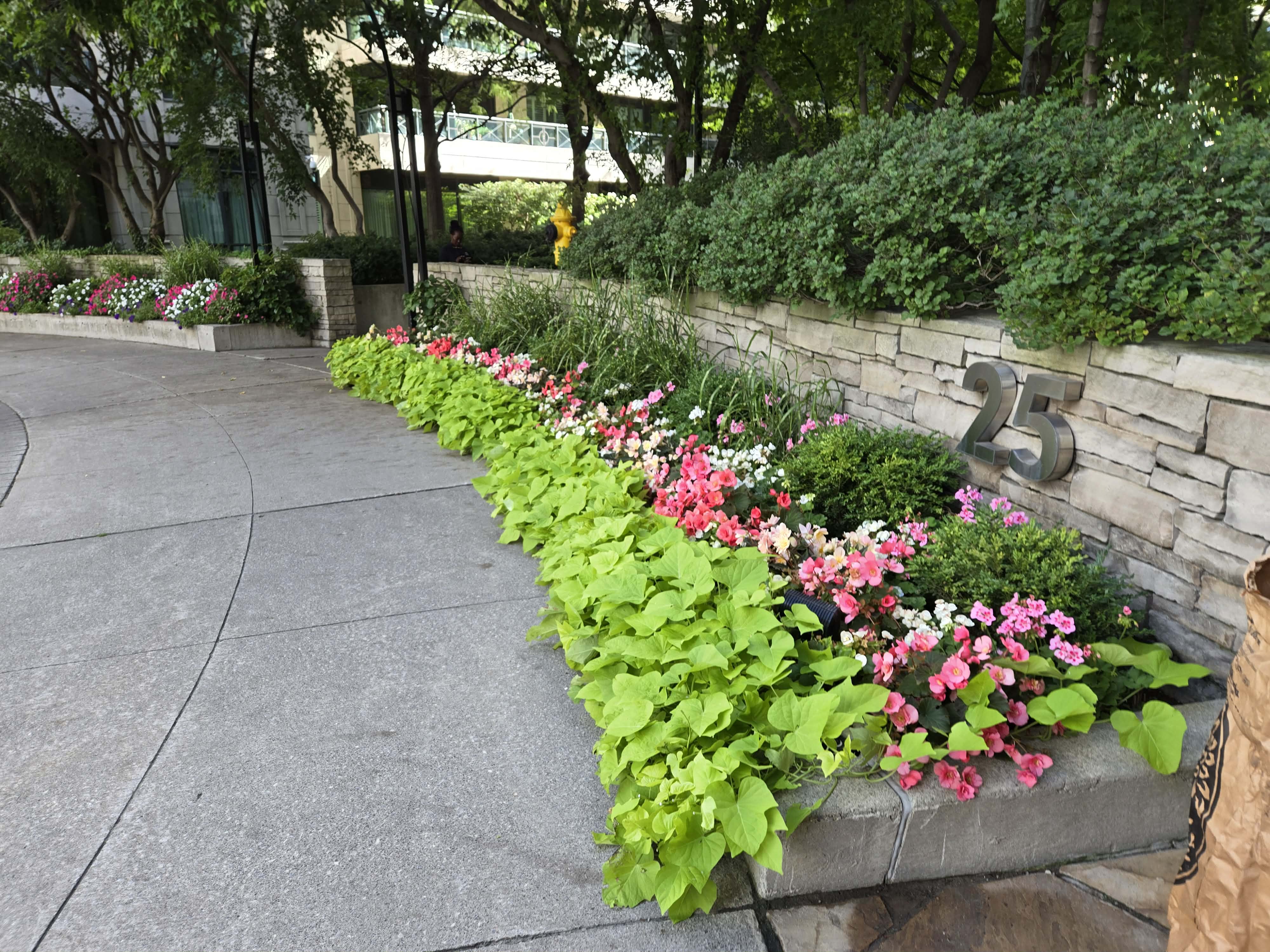 Landscaping Project 15